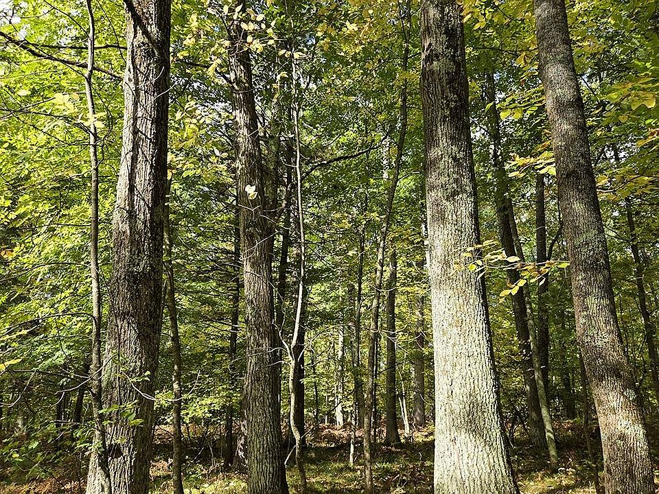 1st image of 9 French Rd