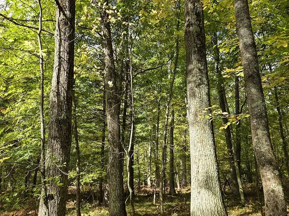 9 French Rd, Pembine, WI 54156