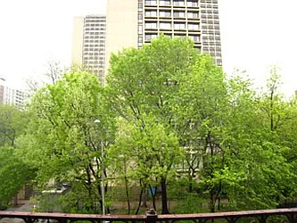 Rented by Carol Quatrone