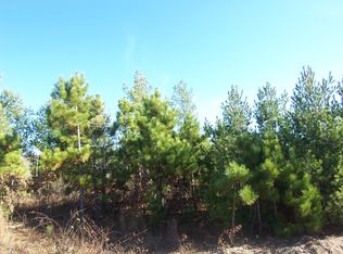 5 Ashtons Trl, Webster, WI 54893