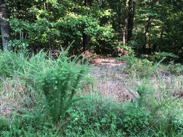 6 Lockton Dr, Bella Vista, AR 72714