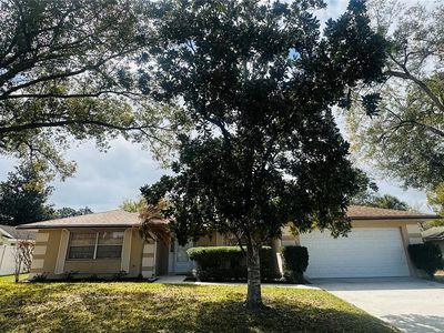 141 Stoney Ridge Dr, Longwood, FL, 32750