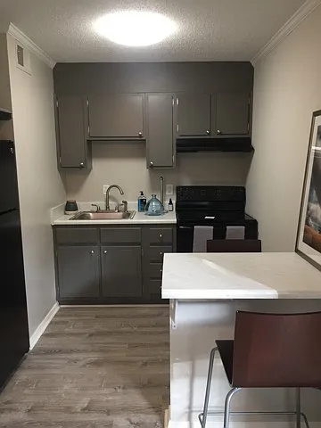 1BR kitchen 1BR kitchen