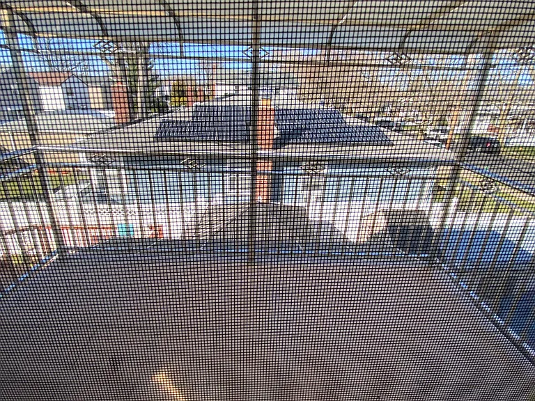 Caswell Ave — Photo 11