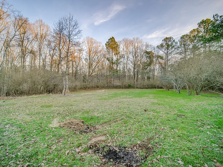 1290 Reavis Mountain Rd — Photo 42