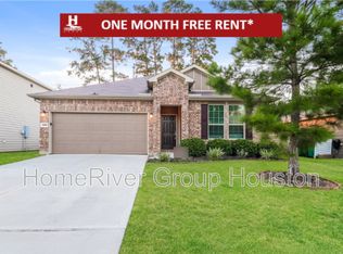 4229 Amber Ruse Dr, Conroe, TX 77304