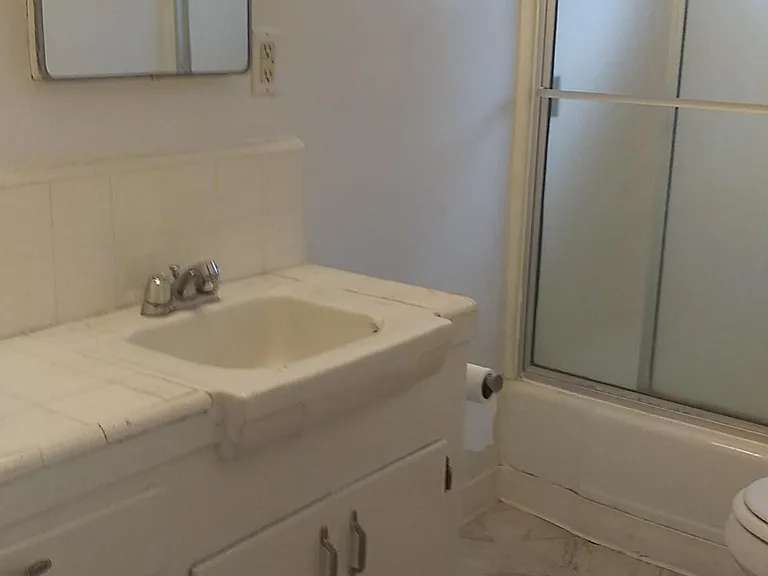 Hallway Bathroom