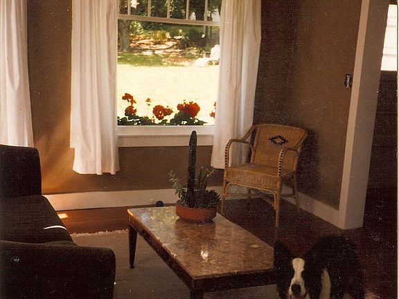 Living Room with vaulted ceiling.