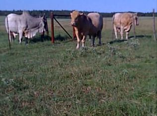 233 Edmonson Ranch Rd, Mc Dade, TX 78650