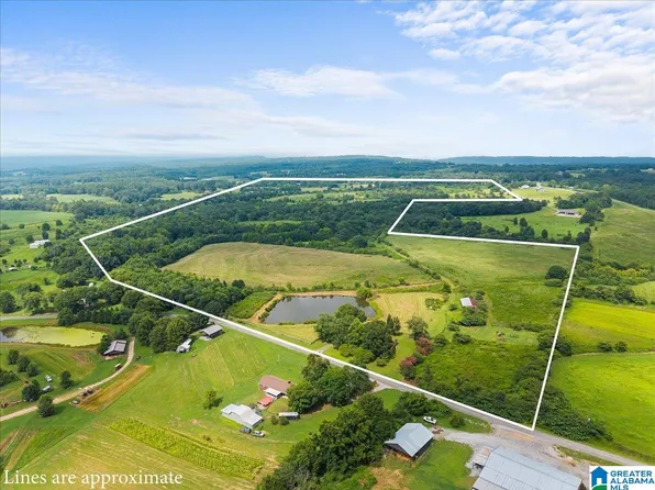 270 Reneau Rd, Oneonta, AL 35121
