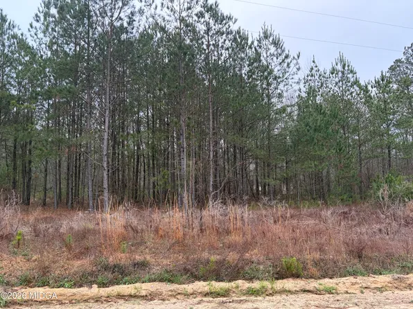 3924 Phelps Dr, Lizella, GA 31052