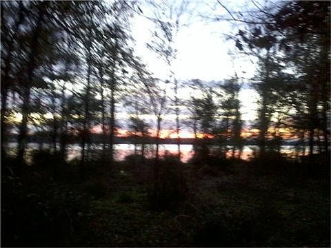 1st image of 13075 Wood Harbour Dr