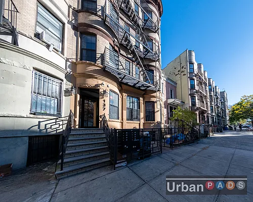 Rented by Urban Pads | media 30