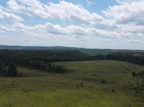 8 Fredonia Rd, Dunlap, TN 37327