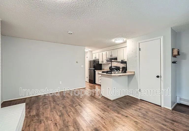 1140 N Downing St #102 — Photo 2