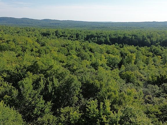 5th image of M13l20 Bear Mountain Rd