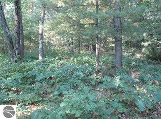 LOT 137&138 Tabor Ave, Interlochen, MI 49643