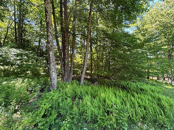 2nd image of 3344 Mountain Rd