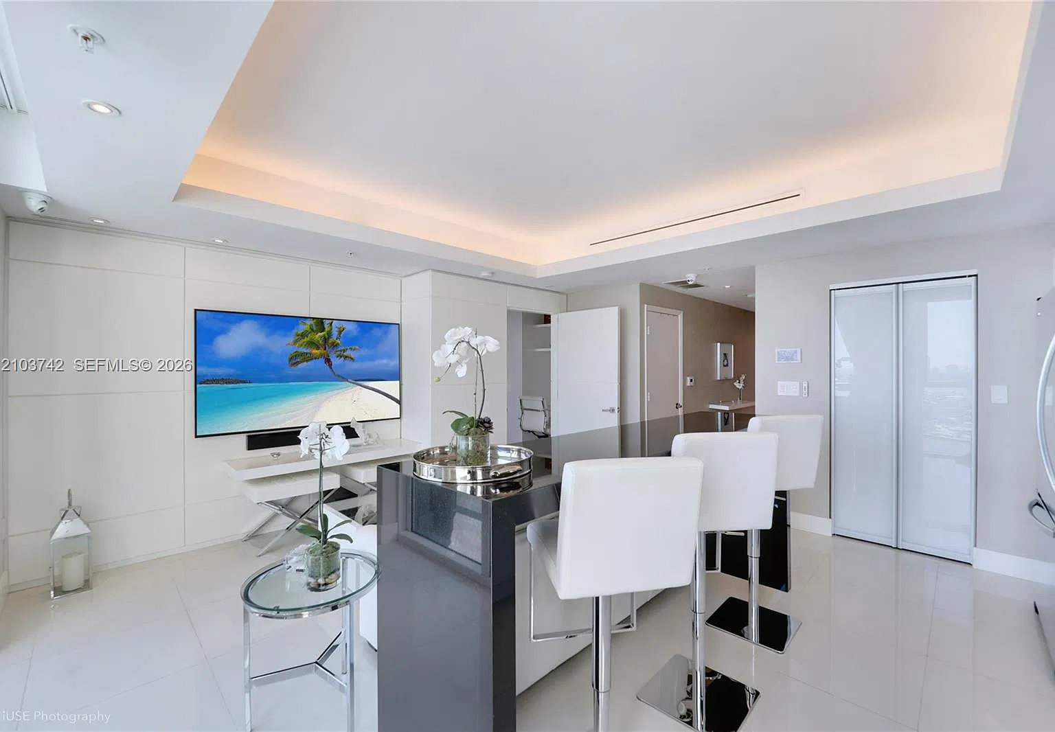 Vizcayne South Condo — Photo 4