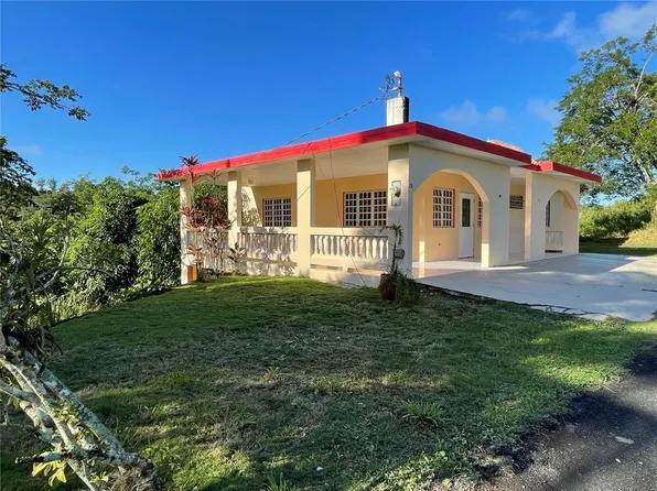 171 Sud, Cidra, PR 00739