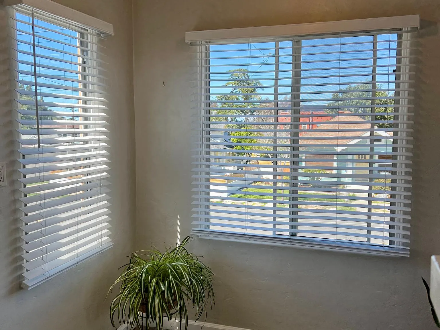 2 bed, 750 sqft, $3,000 — Photo 3