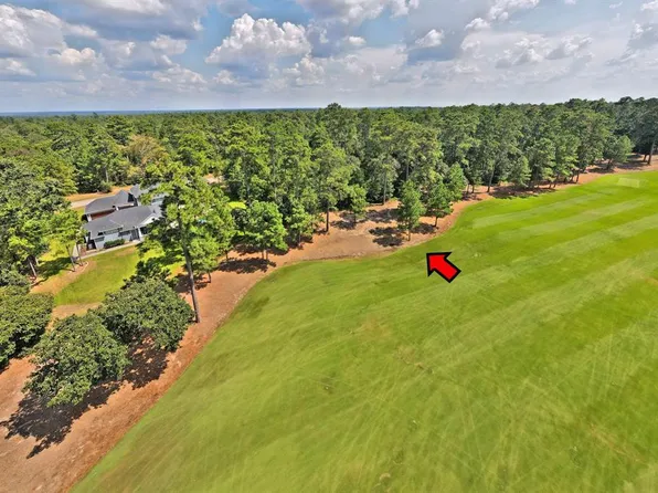 4459 Lily Bean Drive, Montgomery, TX 77316