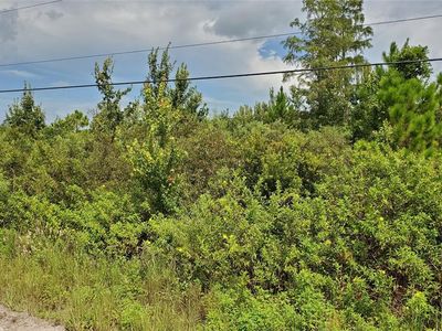 Quail Nest Ln LOT 36, New Smyrna Beach, FL, 32168
