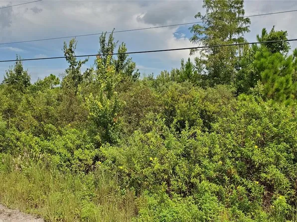 Quail Nest Ln Lot 36, New Smyrna Beach, FL 32168