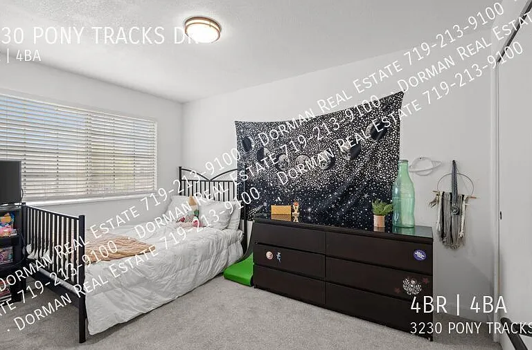 3230 Pony Tracks Dr — Photo 23