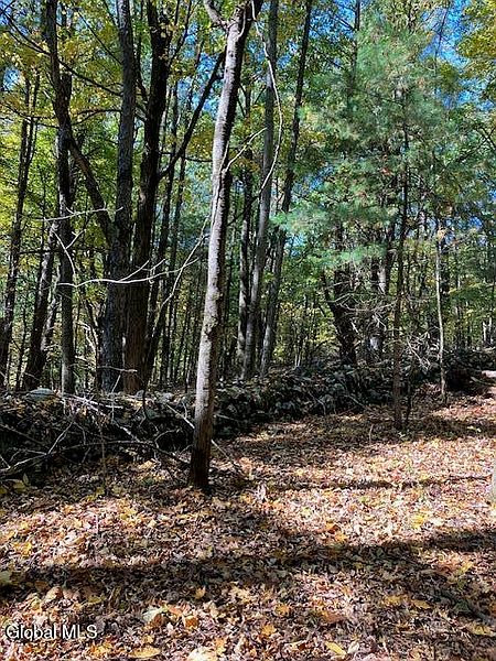 4th image of L7 Burden Lake Road Road