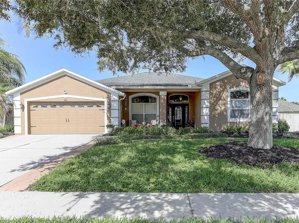 3815 RED BLUFF CT, WESLEY CHAPEL, FL 33543