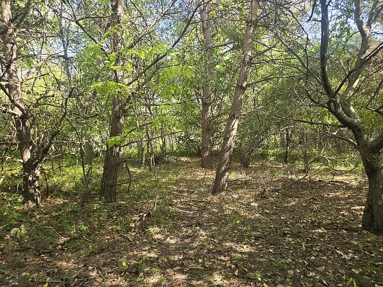 4772 Bailey Bridge Rd — Photo 30