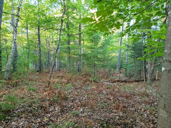 6582 Pinehurst Dr, Lake Tomahawk, WI 54539