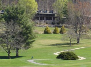 130 Golfwatch Rd, Canton, NC 28716