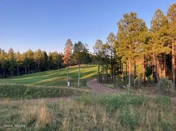 3680 W Sage Ln, Show Low, AZ 85901