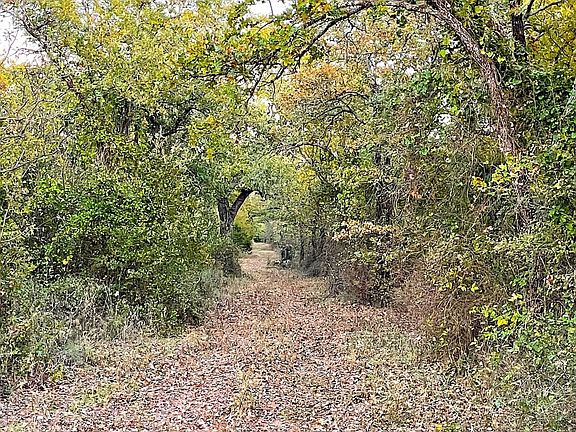 4th image of 350 Indian Camp Rd