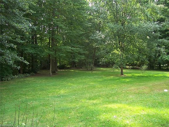 Wooded back yard is great for relaxing and playing.