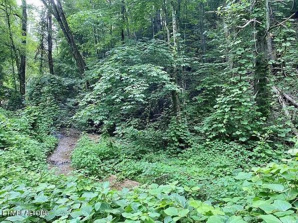 0 Black Walnut Flats Rd Lot 1, Sevierville, TN 37862