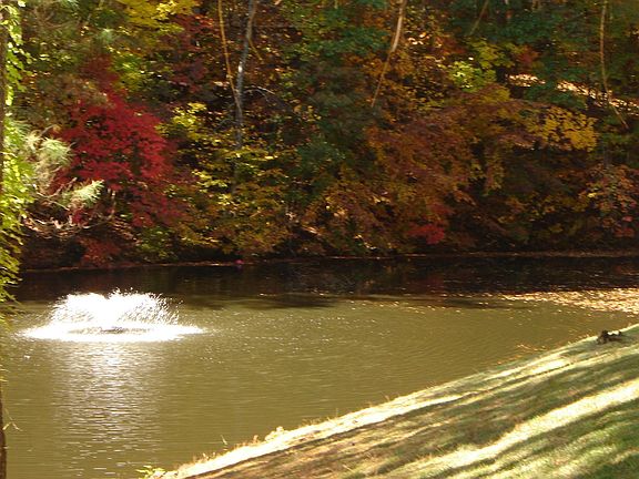 Small Lake viewed from Sunroom
