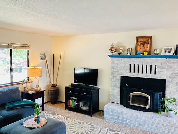 Electric, high efficient Napolean fire place insert w/ fan