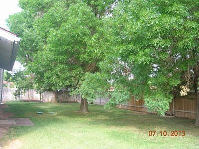 Amazing Shady Back Yard