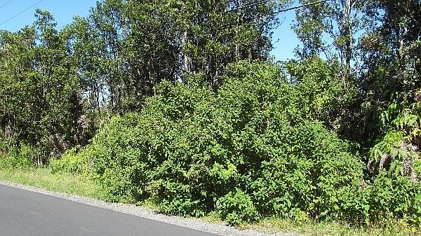 2nd image of LOT 1489 Lot 1489
