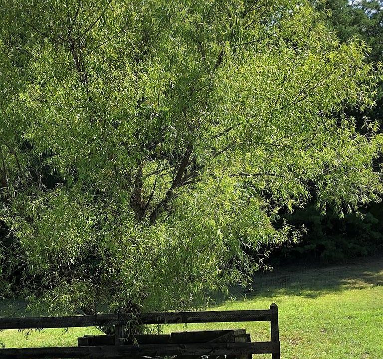 1st image of 0 Mowery Ln Lot 33