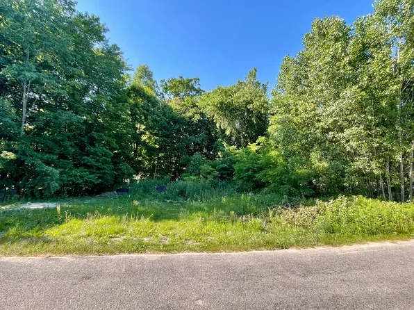 V/l E Shore Dr, Stanton, MI 48888