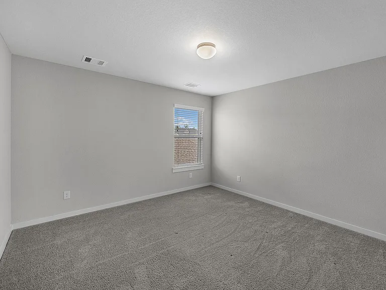 1907 Scarlet Yaupon Way — Photo 25