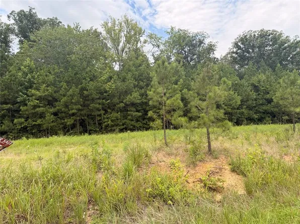 58 County Road 32 #512572, Piedmont, AL 36272