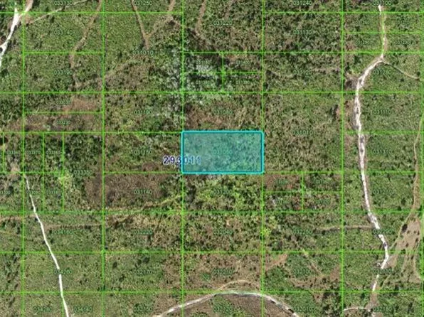 Tiger Lake Rd, Lake Wales, FL 33898