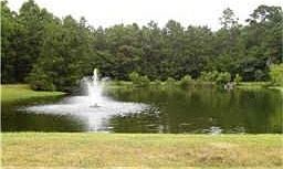 2nd image of 28903 Pine Forest Dr