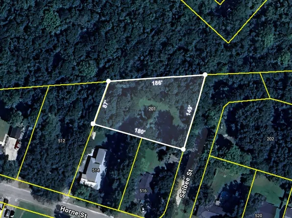 201 Selbee St, Moncks Corner, SC 29461