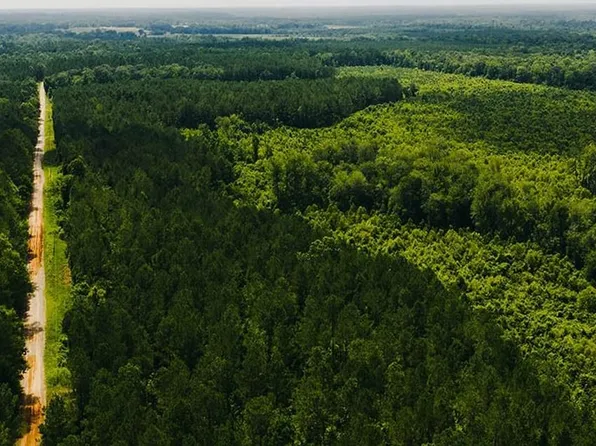 Brand Rd, Newton, MS 39345